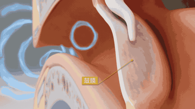 20230628_152606_257_20230629094216_051.gif