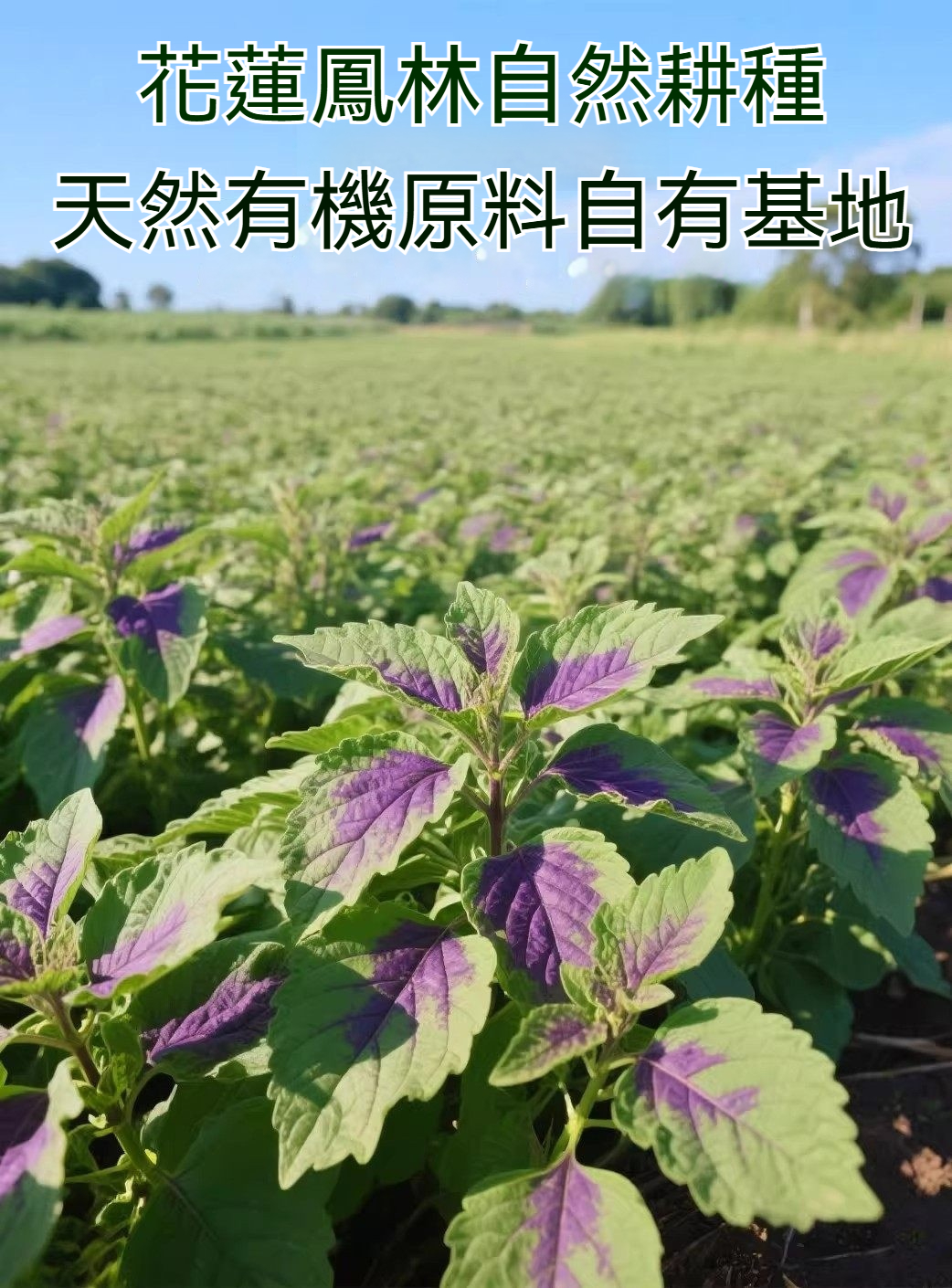 2026junpmaab6c924e6f53cbd4f37791.jpg